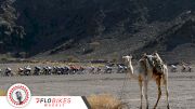 Dylan Groenewegen's Two Wins At Saudi Tour Aren't Enough To Hold Off Young Gun Maxim Van Gils From Overall Victory