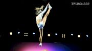 The Great White Sharks Return To The Arena