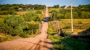 The Auspicious Start To A Gravel Movement In The Midwest A Decade Ago
