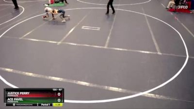 67 lbs Quarterfinal - Justice Perry, Minnesota vs Ace Pavel, Minnesota