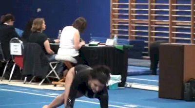 Aerial Athletics (Madeline Martinez)