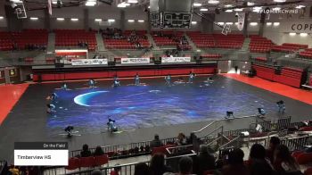 Timberview HS at 2020 WGI Guard Dallas Regional