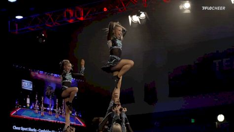 Cheer Sport Sharks Great White Sharks: One Team, One Dream