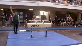 Ryan Huffer - UT Dallas - Pommel Horse
