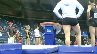 Georgia (Cat Hires) - PT-Stuck!