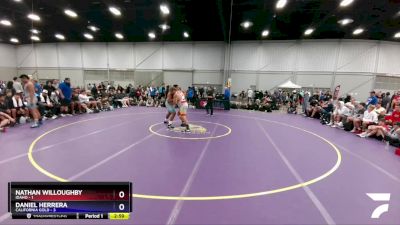 285 lbs Round 3 (8 Team) - Nathan Willoughby, Idaho vs Daniel Herrera, California Gold