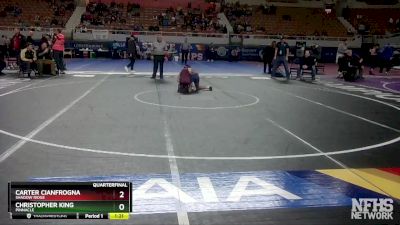 D1-120 lbs Quarterfinal - Carter Cianfrogna, Shadow Ridge vs Christopher King, Pinnacle