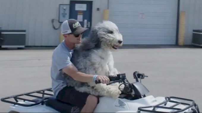 picture of Pit Pals: Meet The Dogs In The USAC Pit Area