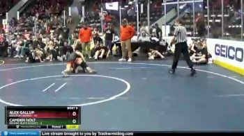 102 lbs Finals (8 Team) - Alex Gallup, Brighton Orange vs Camden Holt, Belding Black Knights