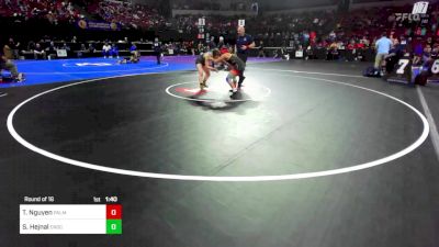 131 lbs Round Of 16 - Tegan Nguyen, Palm Desert vs Sophia Hejnal, Enochs