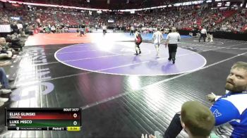 D3-132 lbs Cons. Semi - Elias Glinski, Crandon vs Luke Misco, Lena