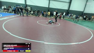 78 lbs Cons. Semi - Greyson Molano, Hillsboro Mat Club vs Aadesh Bassi, Canada