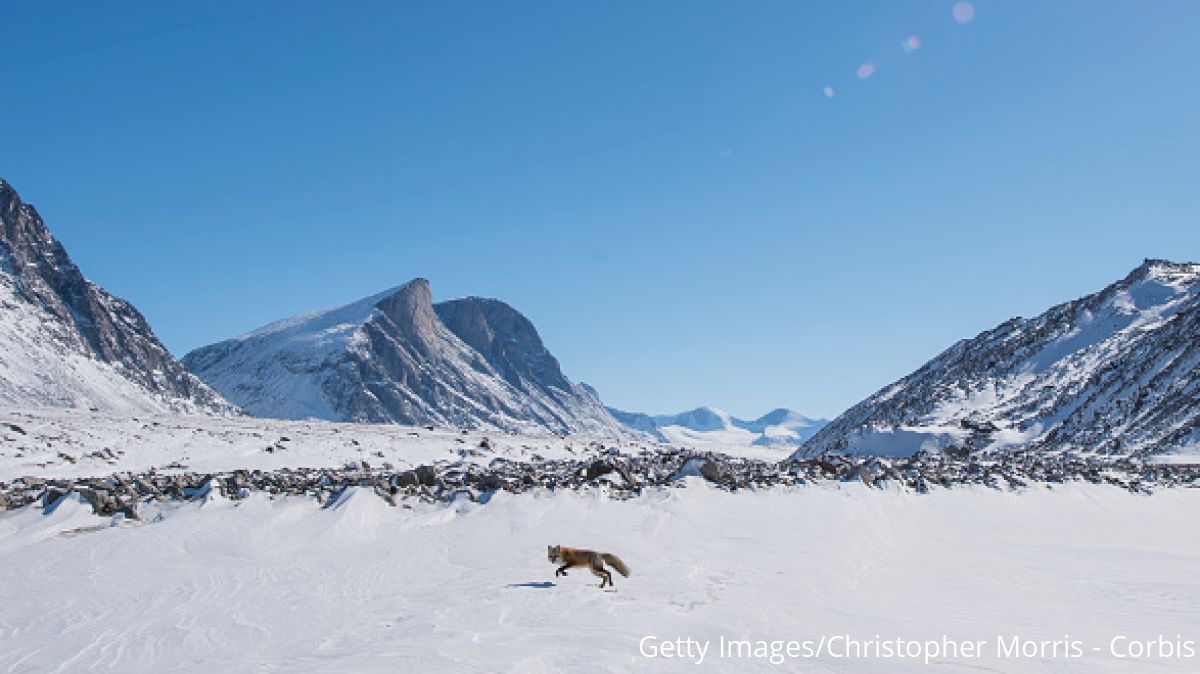 Things Every Runner Needs To Know About Running In Cold Weather