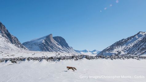 Things Every Runner Needs To Know About Running In Cold Weather