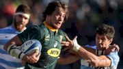 South Africa Vs. Argentina Rugby Preview: Boks Look To End Pumas Run