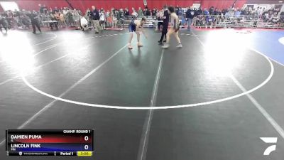 160 lbs Champ. Round 1 - Damien Puma, IL vs Lincoln Fink, MN