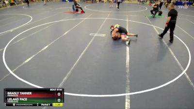 175 lbs Quarterfinal - Bradly Tanner, Minnesota vs Leland Pace, Minnesota