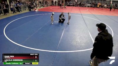 40 lbs Quarterfinal - Dane Fier, Minneota vs Lincoln Anderson, DGF