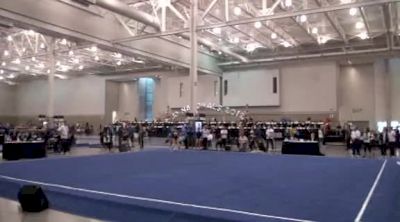 North Stars (Erika Muhaw) - 9.525