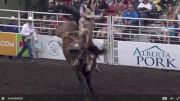 Clay Elliott's Wild 87-Point Ride Aboard C5 Rodeo's High Valley