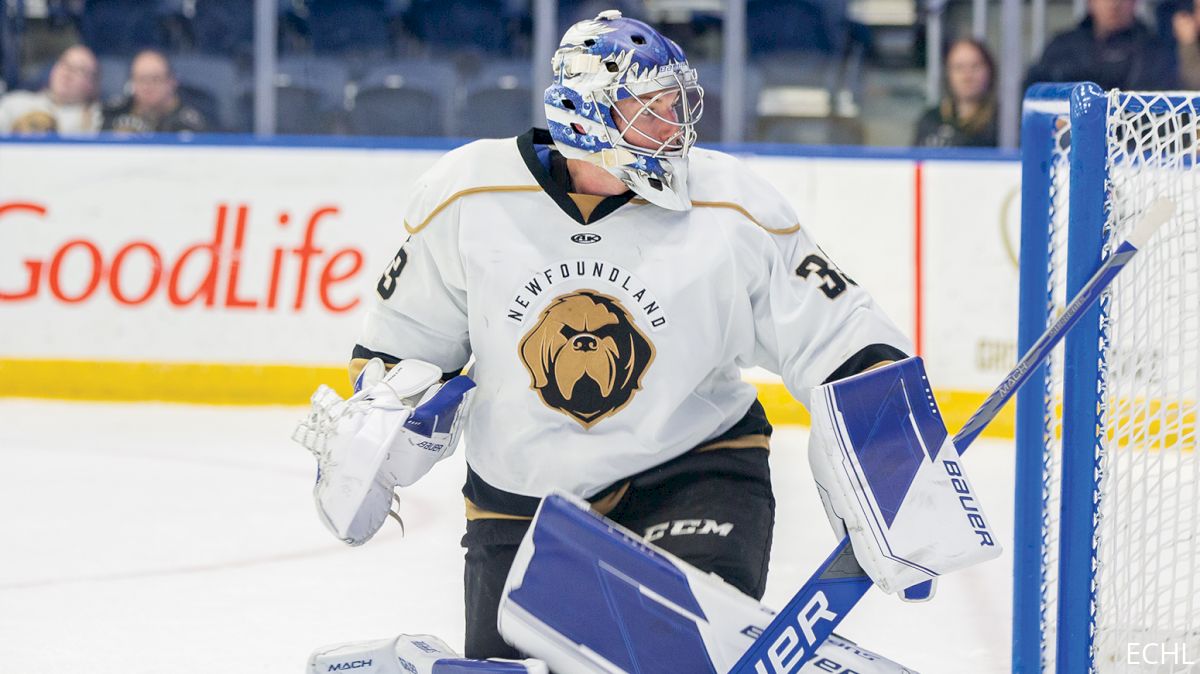 Newfoundland's Cavallin Named ECHL Goaltender Of The Week