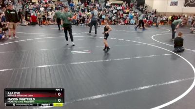 53 lbs Quarterfinal - Mason Whitfield, Palmetto State Wrestling vs Asa Dye, Irontide Wrestling Club