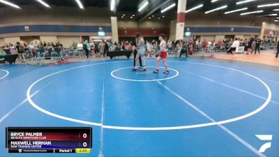 138 lbs Champ. Round 2 - Bryce Palmer, NB Elite Wrestling Club vs Maxwell Herman, WAR Training Center