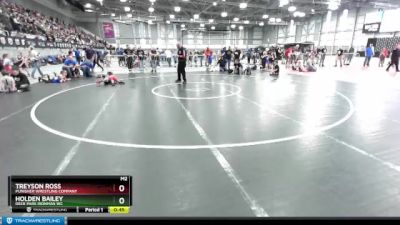 53 lbs Cons. Round 2 - Treyson Ross, Punisher Wrestling Company vs Holden Bailey, Deer Park Ironman WC