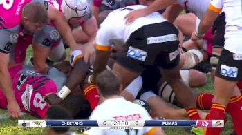 Cheetahs Try