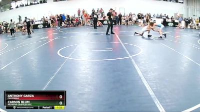 105 lbs Champ. Round 2 - Carson Blum, Michigan Grappler RTC vs Anthony Garza, California