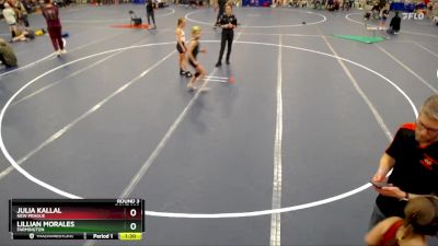 88 lbs Round 3 - Lillian Morales, Farmington vs Julia Kallal, New Prague