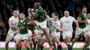 EPCR Statement: Bans For Five Players, Including Springboks Mapimpi