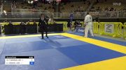 MICHAEL THOMAS LEE vs CHRISTOPHER MICHEL LEE 2024 Pan Jiu Jitsu IBJJF Championship