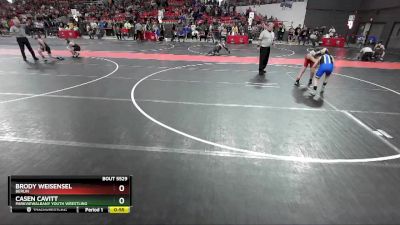 105 lbs Cons. Round 4 - Brody Weisensel, Berlin vs Casen Cavitt, ParkviewAlbany Youth Wrestling