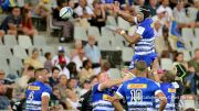 Bok Players Want Shot At Leinster, Reveals Stormers Coach