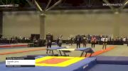 Cearah Larry - Double Mini Trampoline, NSB - 2021 USA Gymnastics Championships