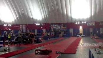 Golden Bears (Kristin) - 2nd vault