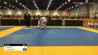 GUILLAUME PRADA vs KENNY C NGUYEN 2022 World Master IBJJF Jiu-Jitsu Championship