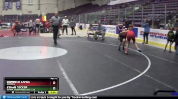 101 lbs Round 4 - Ethan Decker, Elmira Junior Wrestling Club vs Dominick Eames, Waverly