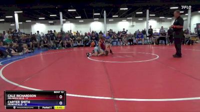 87 lbs Round 3 (8 Team) - Cale Richardson, Oklahoma Blue vs Carter Smith, Michigan Blue