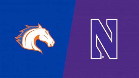 2019 UT Arlington vs Northwestern | Big Ten Women's Basketball