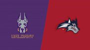 How to Watch: 2019 UAlbany vs Stony Brook | CAA Football