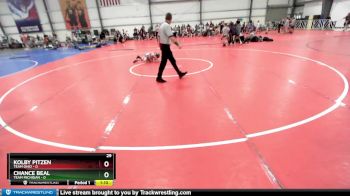 48 lbs Rd# 10- 4:00pm Saturday Final Pool - Chance Beal, Team Michigan vs Kolby Pitzen, Team Ohio