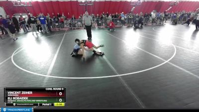 67 lbs Cons. Round 5 - Eli Robaidek, Monona Grove/McFarland Wrestling Club vs Vincent Zeiher, Wisconsin