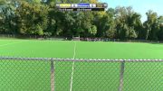 Replay: Delaware vs Towson | Oct 14 @ 3 PM