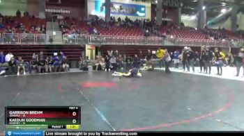 113 lbs Round 3 (3 Team) - Garrison Brehm, Waverly vs Kaedun Goodman, Kearney