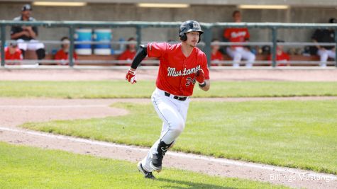 Billings Mustangs Baseball: What To Know