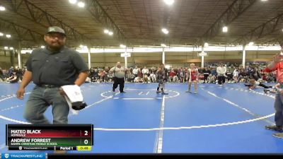 95 lbs Quarterfinal - Porter Swan, Homedale vs Gator Boyd, Mountain View Middle School