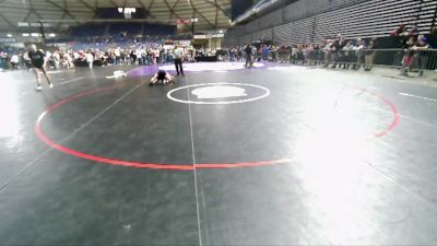 110 lbs Cons. Round 4 - Carter Elfving, Anacortes Hawkeyes Wrestling Club vs Juno Robinson, Lake Stevens Wrestling Club