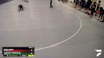 125 lbs Quarterfinals (8 Team) - Tristan Carrizales, Roseau vs Isaih Hesse, St. Peter
